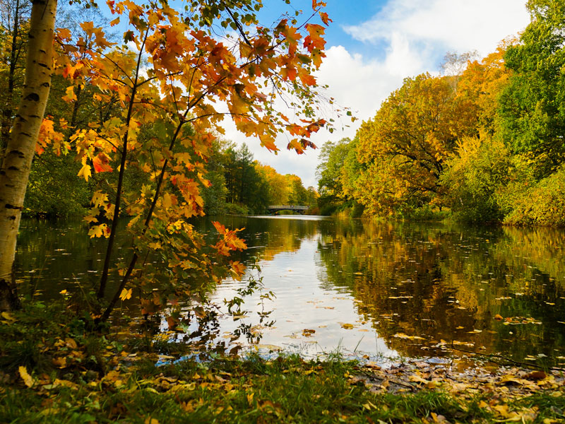 river in fall